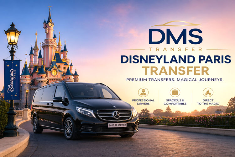 disney-banner
